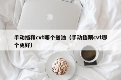 手动挡和cvt哪个省油（手动挡跟cvt哪个更好）