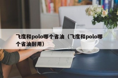 飞度和polo哪个省油（飞度和polo哪个省油耐用）