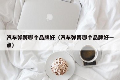 汽车弹簧哪个品牌好（汽车弹簧哪个品牌好一点）
