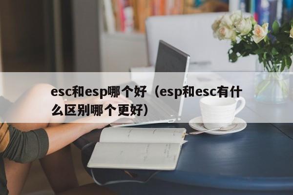 esc和esp哪个好(esp和esc有什么区别哪个更好)