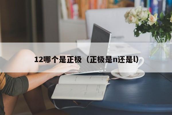 12哪个是正极(正极是n还是l)