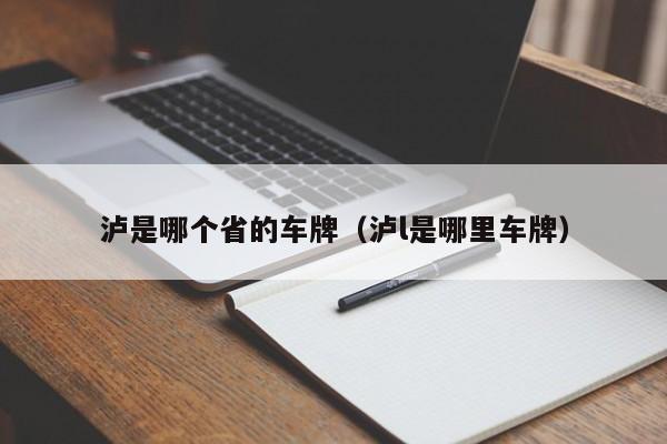 泸是哪个省的车牌(泸l是哪里车牌)