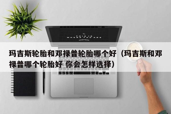 玛吉斯轮胎和邓禄普轮胎哪个好(玛吉斯和邓禄普哪个轮胎好 你会怎样选择)