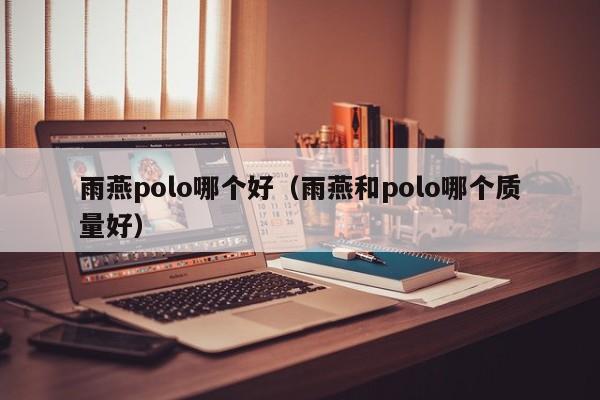 雨燕polo哪个好(雨燕和polo哪个质量好)