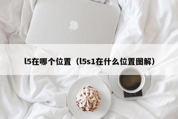 l5在哪个位置(l5s1在什么位置图解)