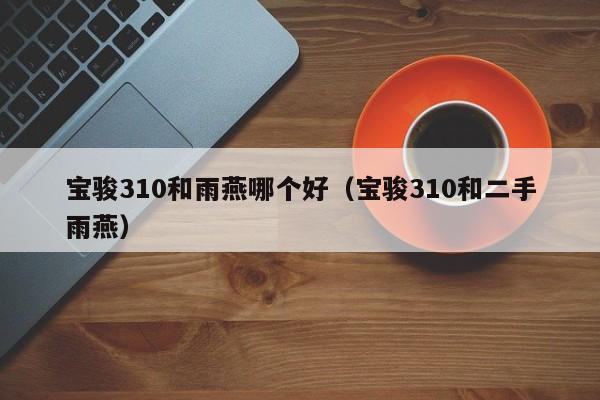 宝骏310和雨燕哪个好(宝骏310和二手雨燕)
