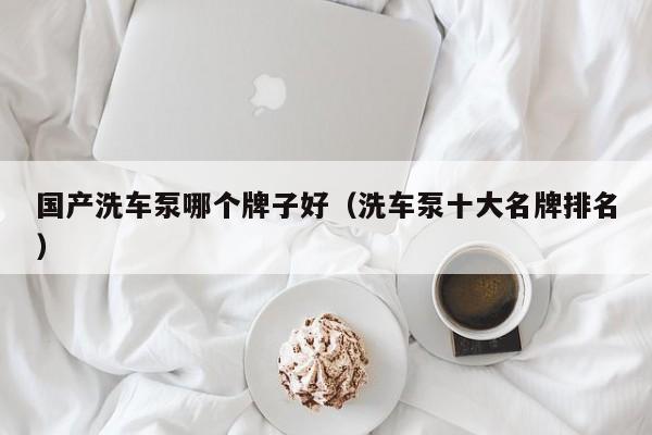 国产洗车泵哪个牌子好(洗车泵十大名牌排名)