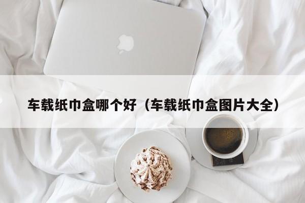 车载纸巾盒哪个好(车载纸巾盒图片大全)