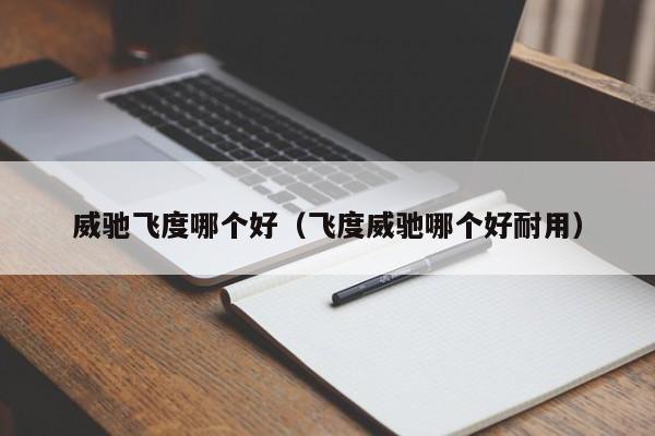 威驰飞度哪个好(飞度威驰哪个好耐用)