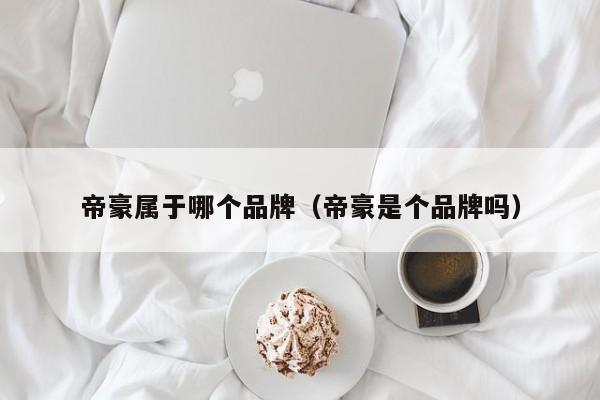 帝豪属于哪个品牌(帝豪是个品牌吗)
