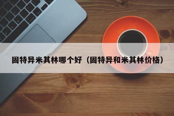 固特异米其林哪个好（固特异和米其林价格）