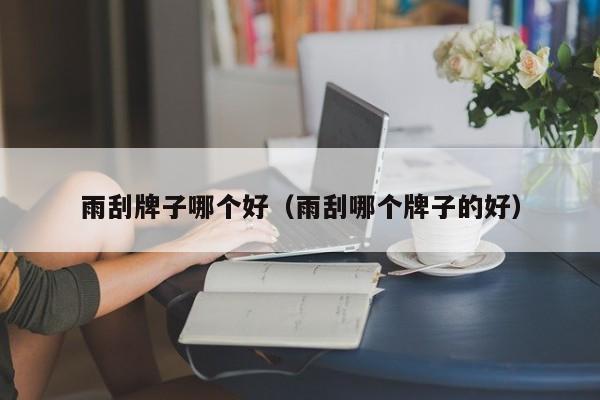 雨刮牌子哪个好（雨刮哪个牌子的好）