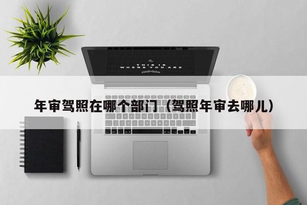 年审驾照在哪个部门(驾照年审去哪儿)