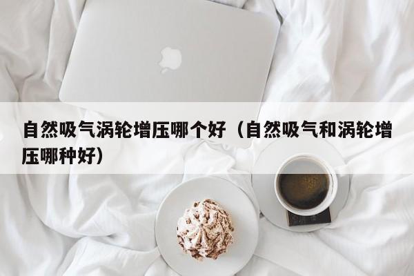 自然吸气涡轮增压哪个好(自然吸气和涡轮增压哪种好)
