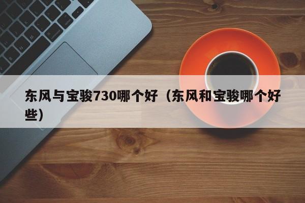 东风与宝骏730哪个好（东风和宝骏哪个好些）