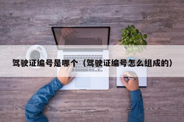 驾驶证编号是哪个（驾驶证编号怎么组成的）