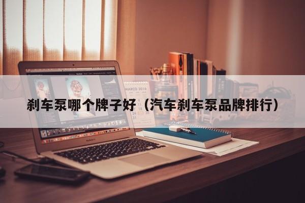 刹车泵哪个牌子好（汽车刹车泵品牌排行）
