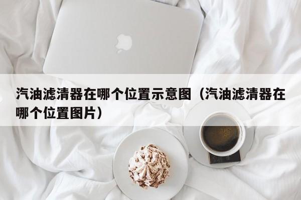 汽油滤清器在哪个位置示意图(汽油滤清器在哪个位置图片)