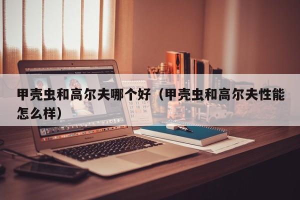 甲壳虫和高尔夫哪个好(甲壳虫和高尔夫性能怎么样)