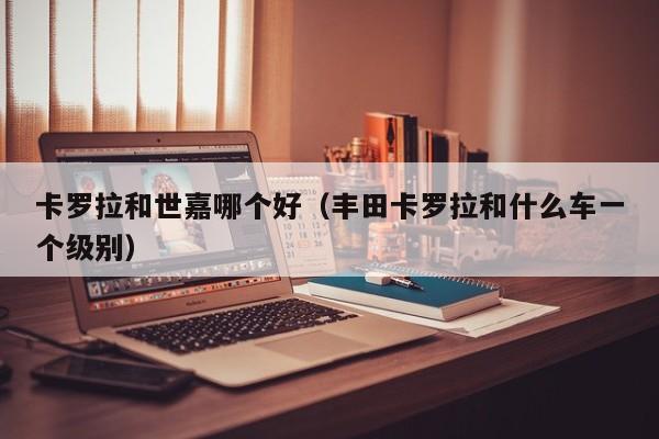 卡罗拉和世嘉哪个好(丰田卡罗拉和什么车一个级别)