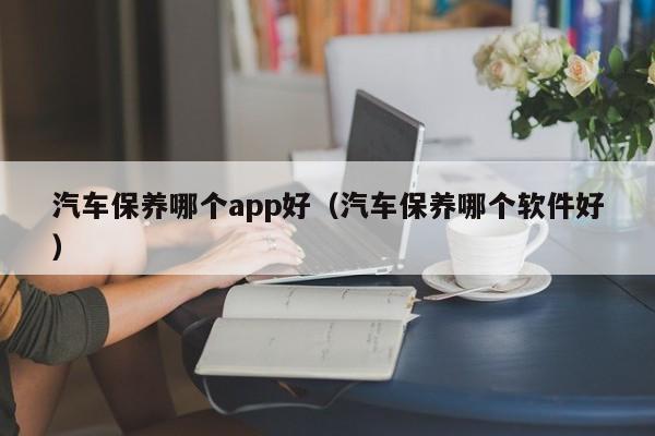 汽车保养哪个app好(汽车保养哪个软件好)