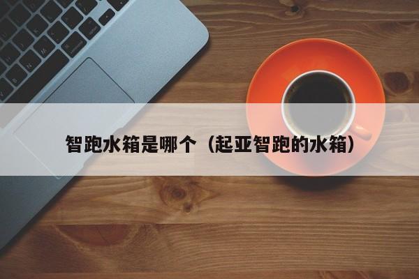 智跑水箱是哪个(起亚智跑的水箱)