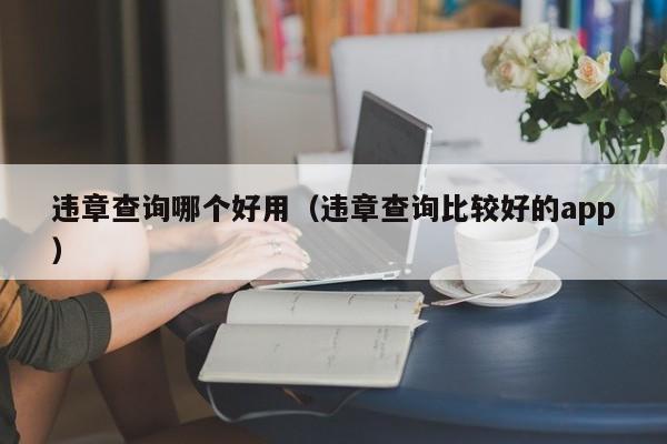 违章查询哪个好用(违章查询比较好的app)