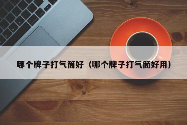 哪个牌子打气筒好(哪个牌子打气筒好用)