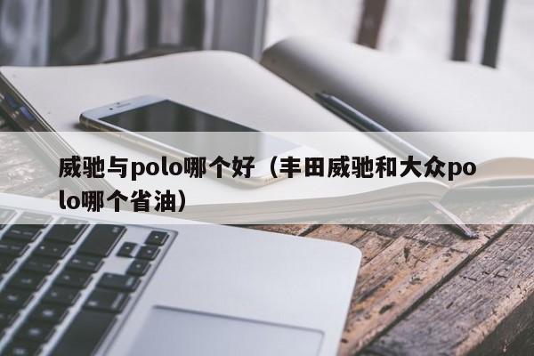 威驰与polo哪个好(丰田威驰和大众polo哪个省油)