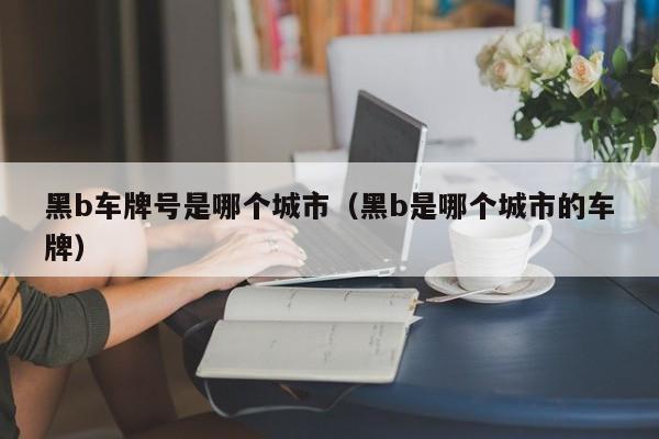 黑b车牌号是哪个城市(黑b是哪个城市的车牌)