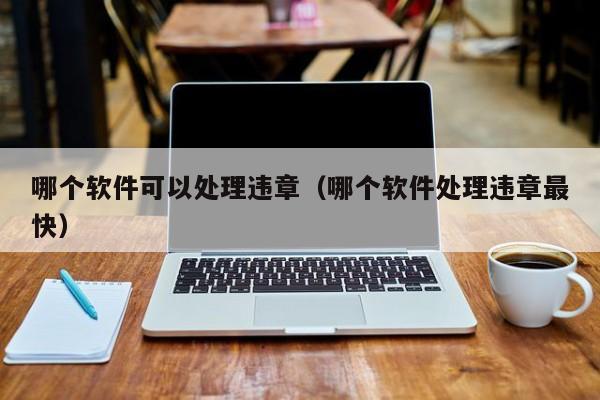 哪个软件可以处理违章(哪个软件处理违章最快)