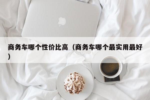商务车哪个性价比高(商务车哪个最实用最好)