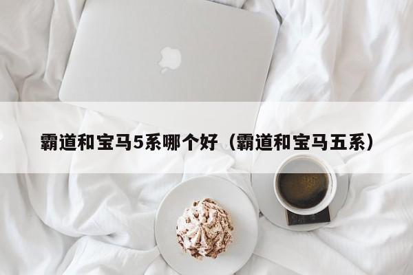 霸道和宝马5系哪个好(霸道和宝马五系)