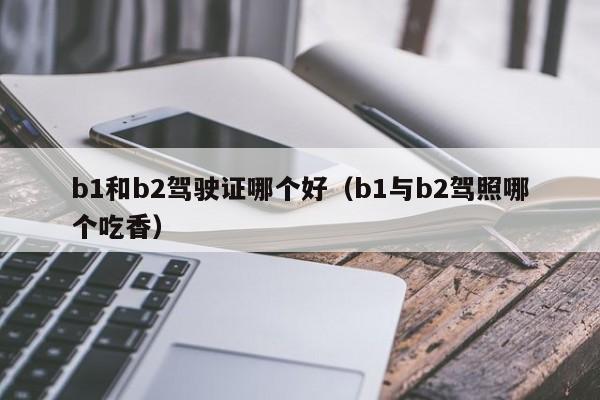b1和b2驾驶证哪个好(b1与b2驾照哪个吃香)