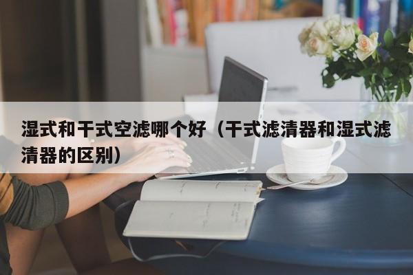 湿式和干式空滤哪个好(干式滤清器和湿式滤清器的区别)