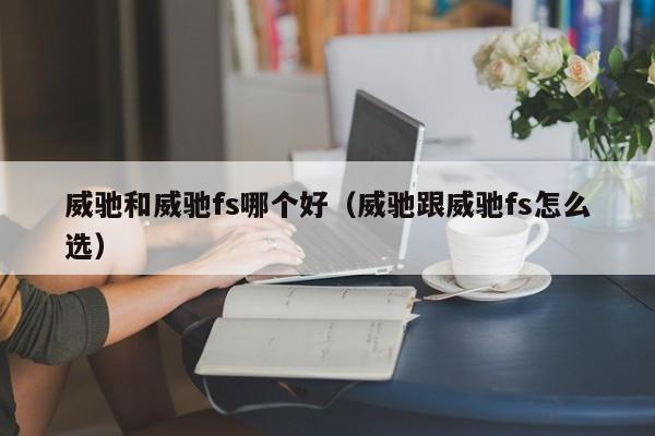 威驰和威驰fs哪个好(威驰跟威驰fs怎么选)