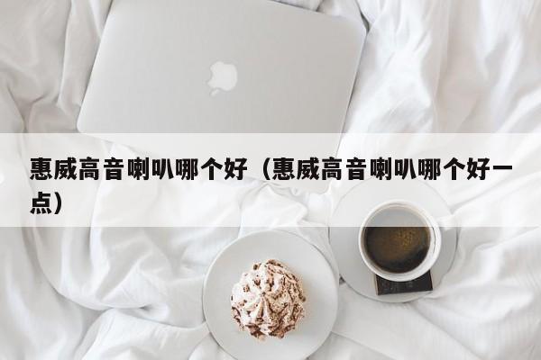 惠威高音喇叭哪个好(惠威高音喇叭哪个好一点)