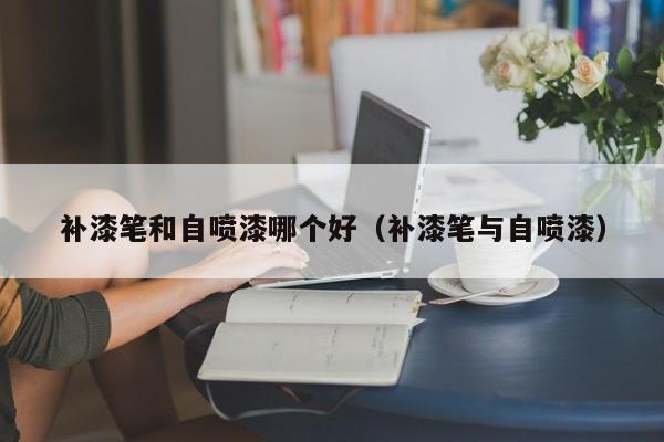 补漆笔和自喷漆哪个好(补漆笔与自喷漆)