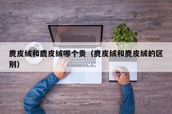 麂皮绒和鹿皮绒哪个贵(麂皮绒和麂皮绒的区别)