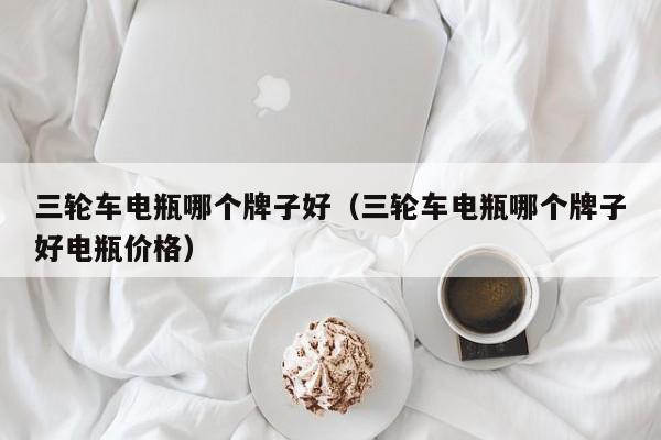 三轮车电瓶哪个牌子好(三轮车电瓶哪个牌子好电瓶价格)
