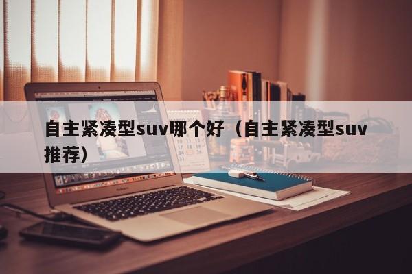 自主紧凑型suv哪个好(自主紧凑型suv推荐)