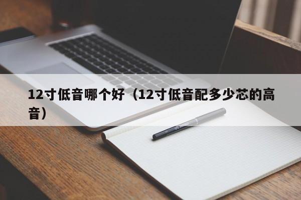 12寸低音哪个好(12寸低音配多少芯的高音)