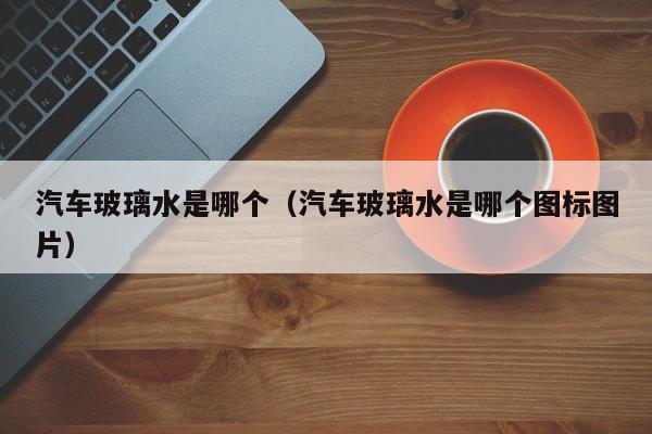 汽车玻璃水是哪个(汽车玻璃水是哪个图标图片)