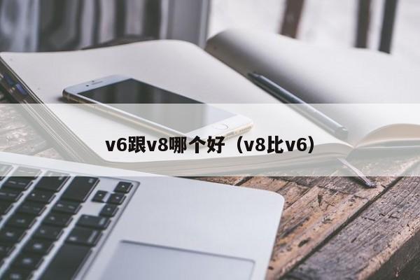 v6跟v8哪个好(v8比v6)
