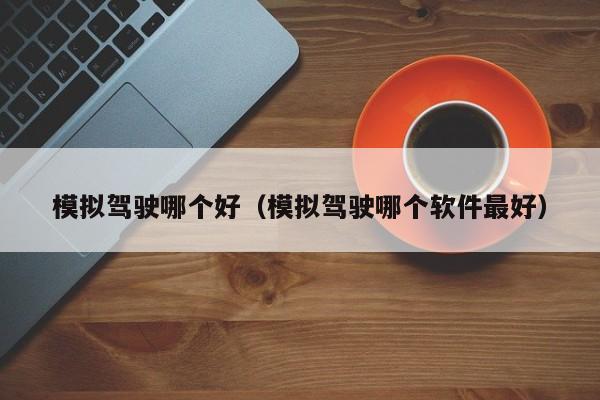 模拟驾驶哪个好(模拟驾驶哪个软件最好)