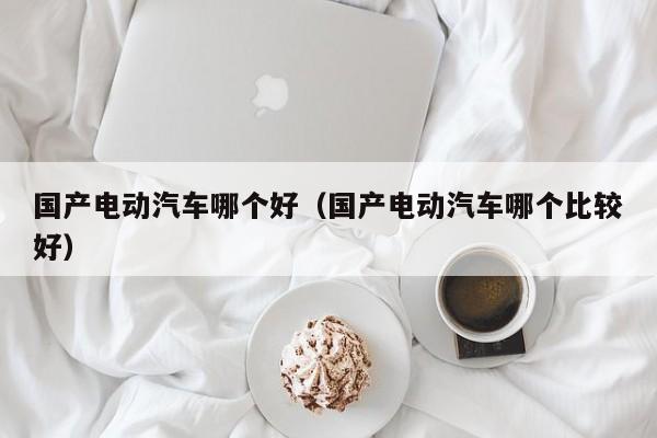 国产电动汽车哪个好(国产电动汽车哪个比较好)