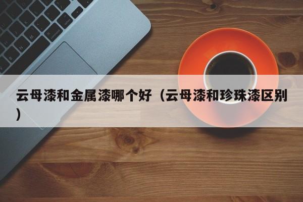 云母漆和金属漆哪个好(云母漆和珍珠漆区别)