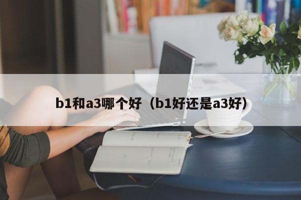 b1和a3哪个好(b1好还是a3好)