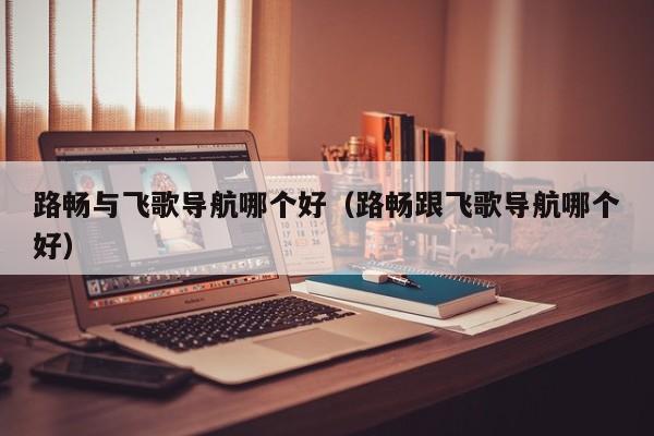 路畅与飞歌导航哪个好(路畅跟飞歌导航哪个好)
