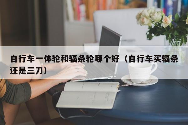 自行车一体轮和辐条轮哪个好(自行车买辐条还是三刀)